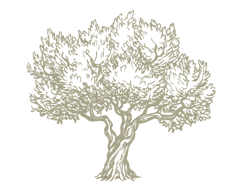 baum.png