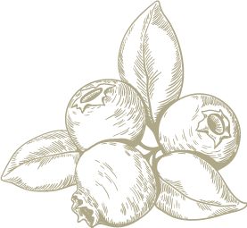 beeren.png