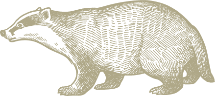 dachs.png