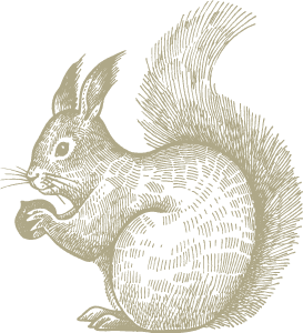 eichhorn.png