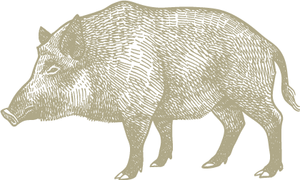 wildschwein.png